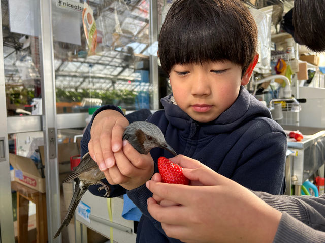 ��������C�`�S�����ɓ�������܂������Ǐ����H�ׂĂ��A�肭�������ˁI_���R��������