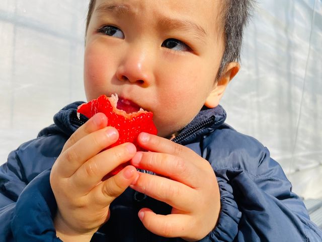 �傫��䕂��A���������I���������ł��B_�֍��_��