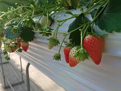 株式会社 ふる里農園 美の関 予約 アクセス 割引クーポン じゃらんnet