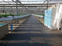 株式会社 ふる里農園 美の関 予約 アクセス 割引クーポン じゃらんnet