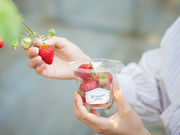 MIGAKI FARM(ICHIGO WORLD)̎ʐ^3