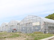 �t�@�[�}�V�A�v�ۂ̎ʐ^3