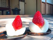 �W�����J�t�@�[���W�͔_���̎ʐ^2