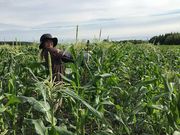 Ё@AOt@bVO[v@\K[Y_̎ʐ^2