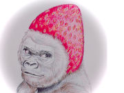 ����_���̎ʐ^3