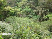 Cafe Gyutto 予約 アクセス 割引クーポン じゃらんnet