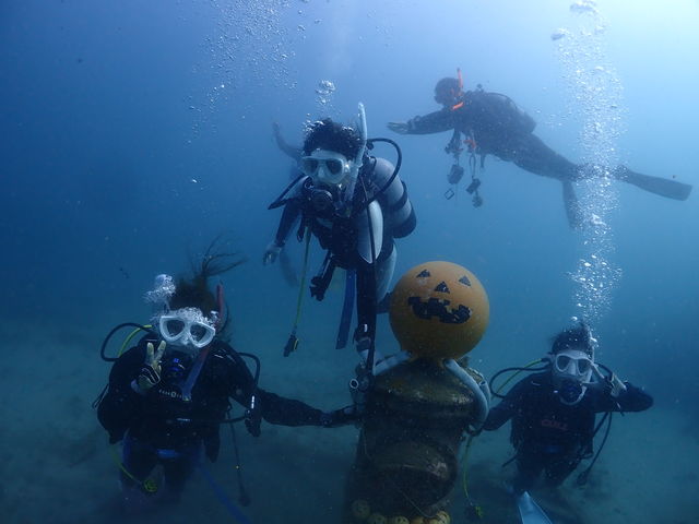 scuba�@diving�@mahalo
