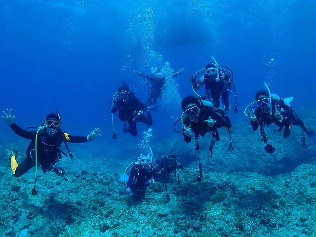 scuba�@diving�@mahalo