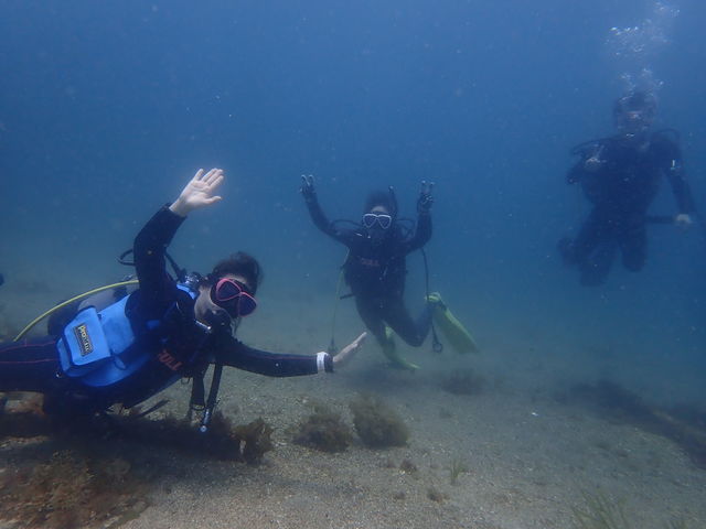 �_�C�r���O���C�Z���X�擾����������T�|�[�g�I_scuba�@diving�@mahalo