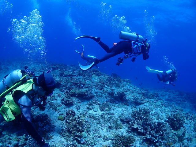 ���C�Z���X�擾���
�c�A�[��斞�ځI_scuba�@diving�@mahalo