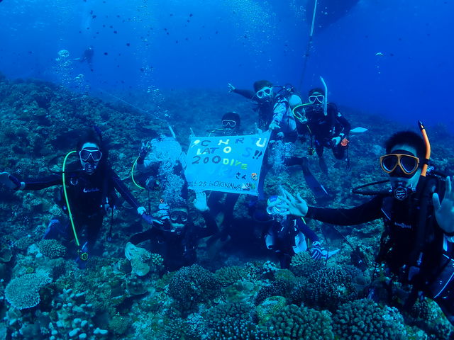 �_�C�o�[�����
�L�O�Ȃǂɂ݂�Ȃł��j���I_scuba�@diving�@mahalo