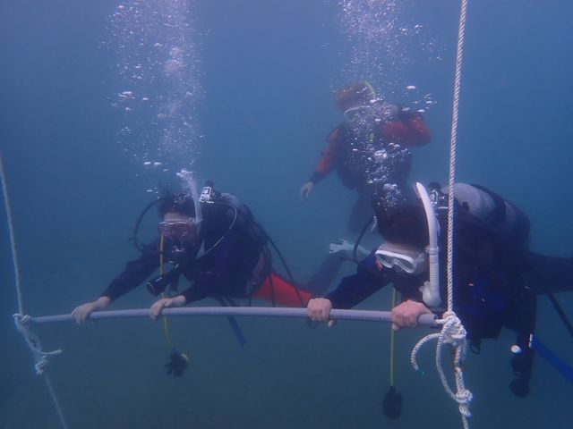 ���̍����u�K
�J���L�������𓱓��I_scuba�@diving�@mahalo