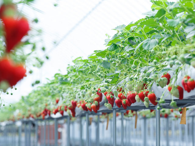 �����L�_��