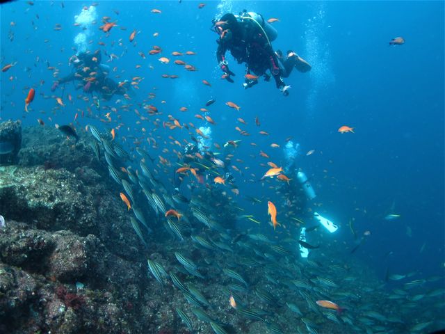 ���ɓ��̓c�q�͗��{��ƌĂ΂��قǂ̋��e���������{�[�g�_�C�r���O�̃��b�J�B_DIVING�@SHOP�@SEVEN7