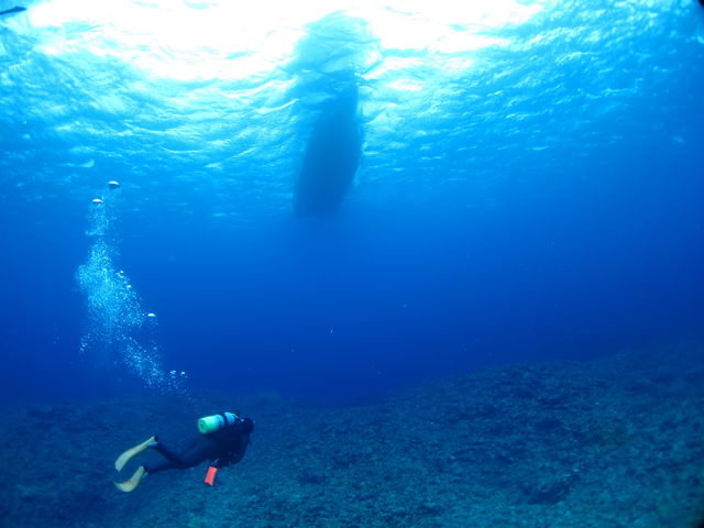 ���ʂ����グ��΃{�[�g��������������ɓ��̊C�B_DIVING�@SHOP�@SEVEN7