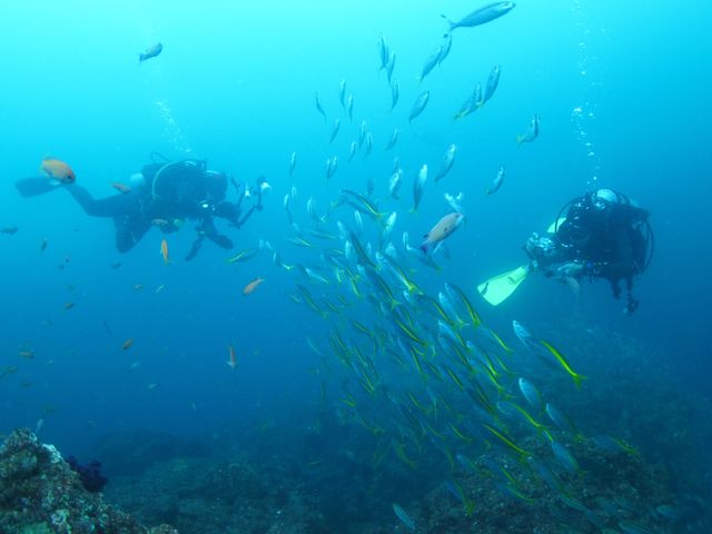 �A�h���i�����o�܂���̈ɓ��_�C�r���O�c�A�[_DIVING�@SHOP�@SEVEN7