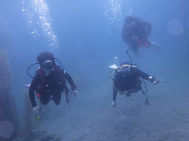 �Y�킷���Ăт����肷��ɓ��̊C_DIVING�@SHOP�@SEVEN7