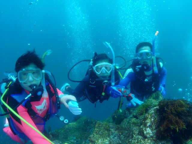 �e�q�ő̌��_�C�r���O�����N�͑����ł���_DIVING�@SHOP�@SEVEN7