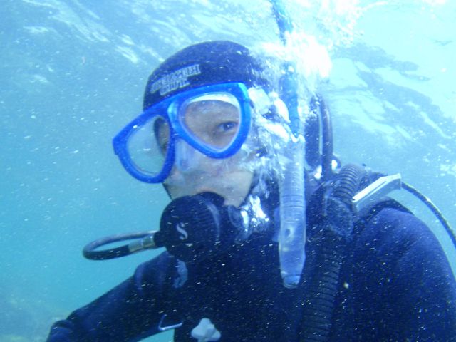 �x�e�����_�C�o�[�͊ј\�̃_�C�r���O_DIVING�@SHOP�@SEVEN7