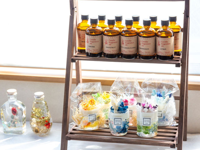 �A���}���b�N�X��f�B�t���[�U�[�ł͍D���ȃA���}�̍�������I�т��������܂�_Y�fs calm feeling