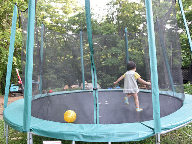 �g�����|�����͎q���ɂ���l�ɂ��l�C_�ɓ��̓��|�̌��@�ق������