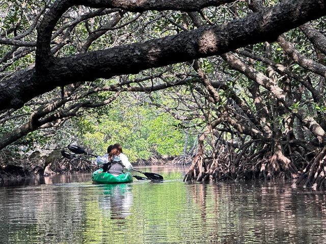 ylz}O[uJk[cA[_marinemate Luana