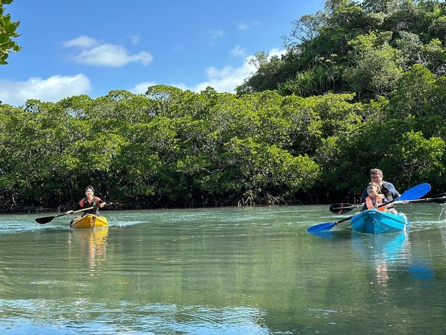 ylz}O[uJk[cA[_marinemate Luana