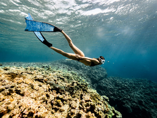 SUN SEA �������