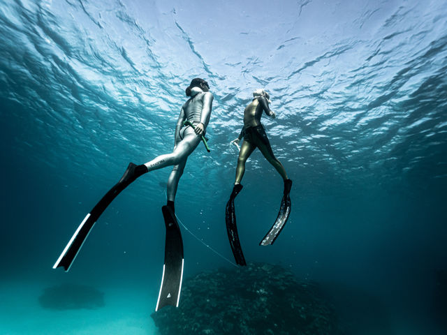 SUN SEA �������