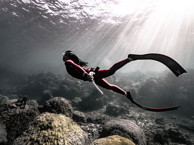 SUN SEA �������