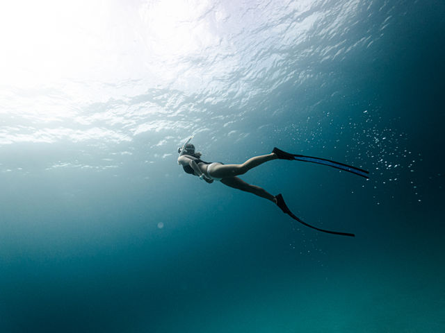 SUN SEA �������