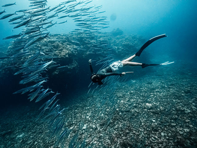 SUN SEA �������