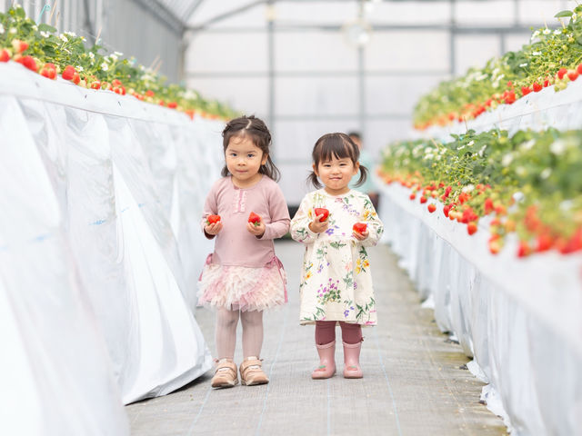 �����e���ɋx�e����݂��Ă���܂��B��ꂽ��ق��ƈꑧ���Ă���������^^_�t���g���G �����ʎ���