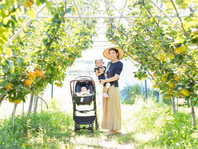 �t���g���G �����ʎ���