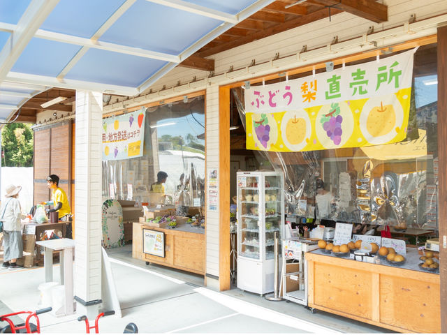 �t���g���G �����ʎ���