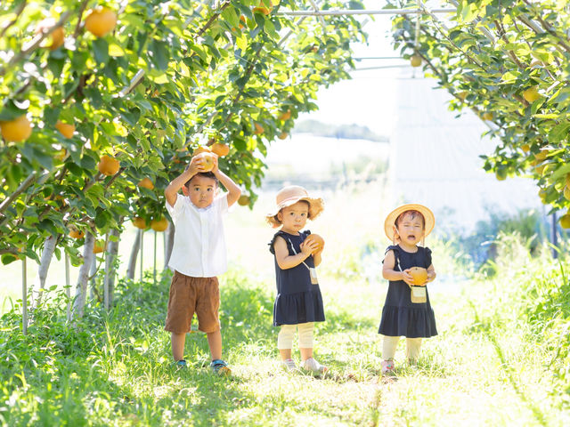 �t���g���G �����ʎ���