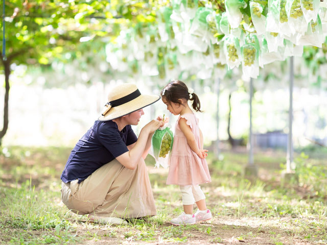 �t���g���G �����ʎ���