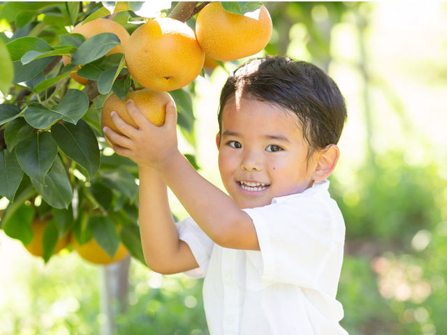 �t���g���G �����ʎ���