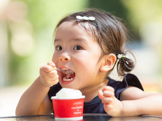 �t���g���G �����ʎ���