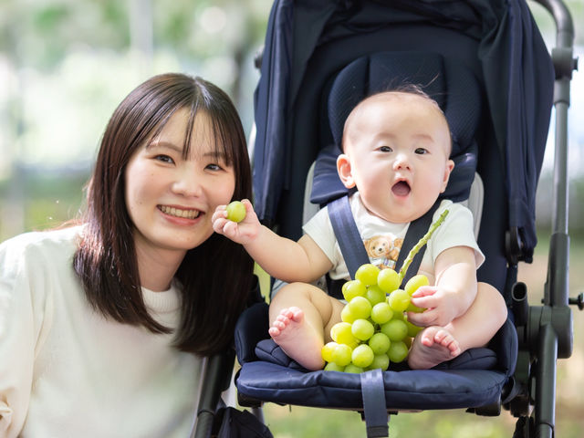 �t���g���G �����ʎ���