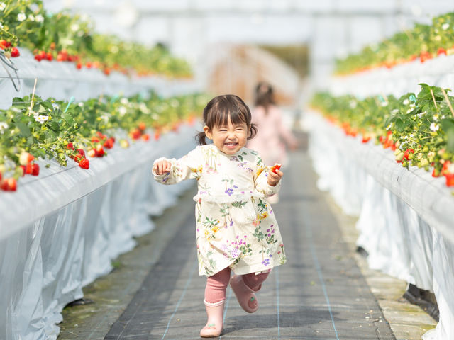 �t���g���G �����ʎ����̎ʐ^1