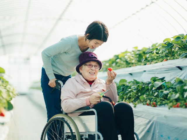 �Ԃ����ł������ɂ��̂܂ܓ����Ċy���߂܂����݂�Ȉꏏ�ɐ���y�����v���łÂ������_�t���g���G �����ʎ���