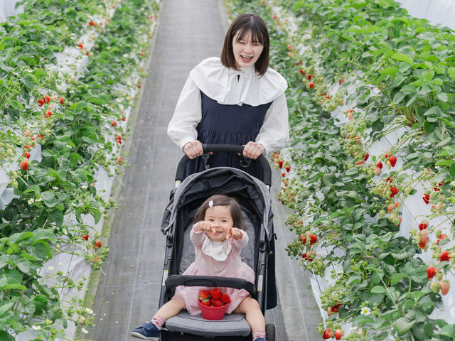 �x�r�[�J�[���X�C�X�C�ʂ��L���ʘH�Ńm���X�g���X�I_�t���g���G �����ʎ���