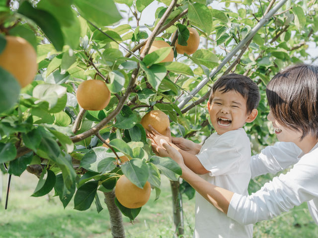 �����̎�Ŏ��n�������̔��������͕ʊi�I���܂ł��L���Ɏc��f�G�ȑ̌������Ѓt���g���G�Ł�_�t���g���G �����ʎ���