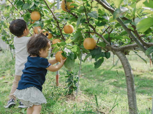 ���������������Ŏ��n�ł��鍂���ɗ�������G���A���B�u����ɂ��悤���ȁH���������ȁH�v�ڂ��P�����Đ^���ɑI�Ԏq�������I�i���f�������3��2�����E1��4�����j_�t���g���G �����ʎ���