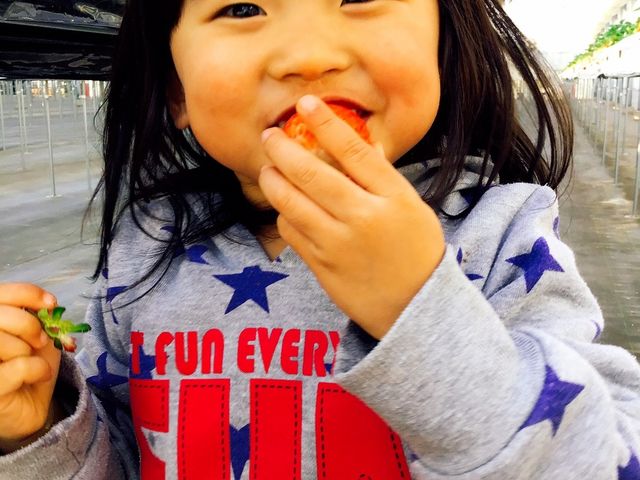 �����Ђӂ��`��