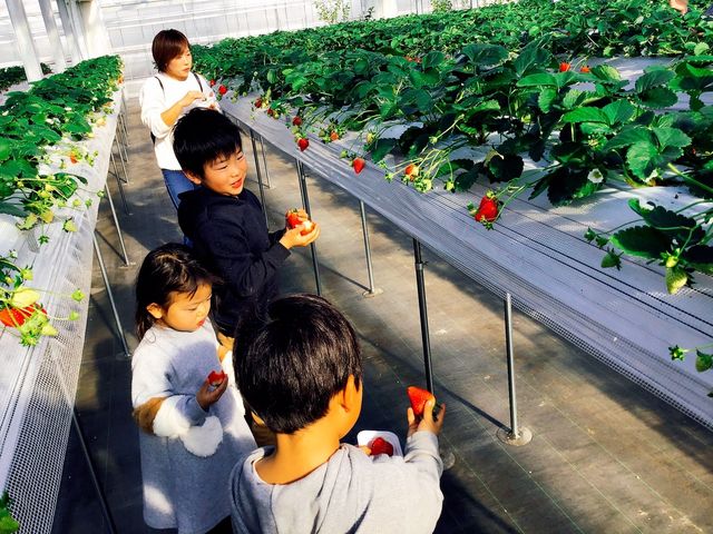 �����Ђӂ��`��