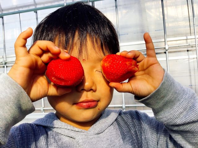 �����Ђӂ��`��