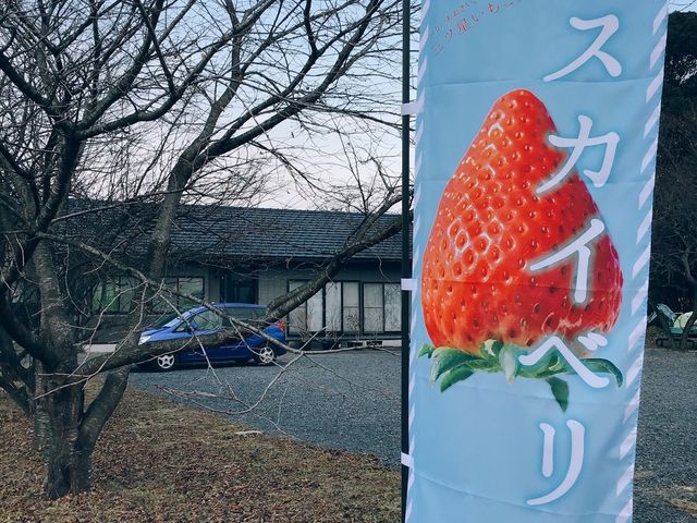 �����Ђӂ��`��