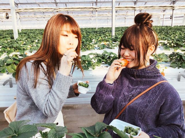 �����Ђӂ��`��